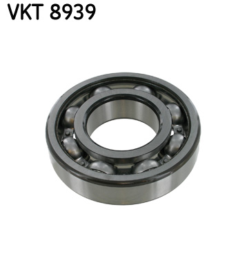 guolis, neautomatinė transmisija - VKT 8939 SKF
